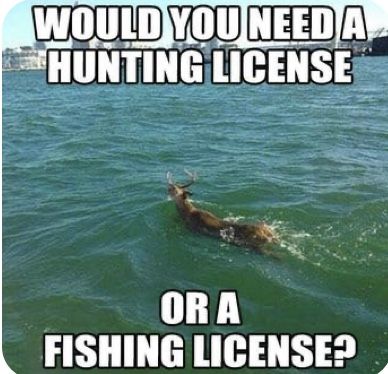 Hunting Meme, Funny Hunting Pics, Hunting Quotes Funny, Hunting Jokes, Hunting Quotes, Hunting Humor, Country Jokes, Country Girl Quotes, Funny Animal Jokes