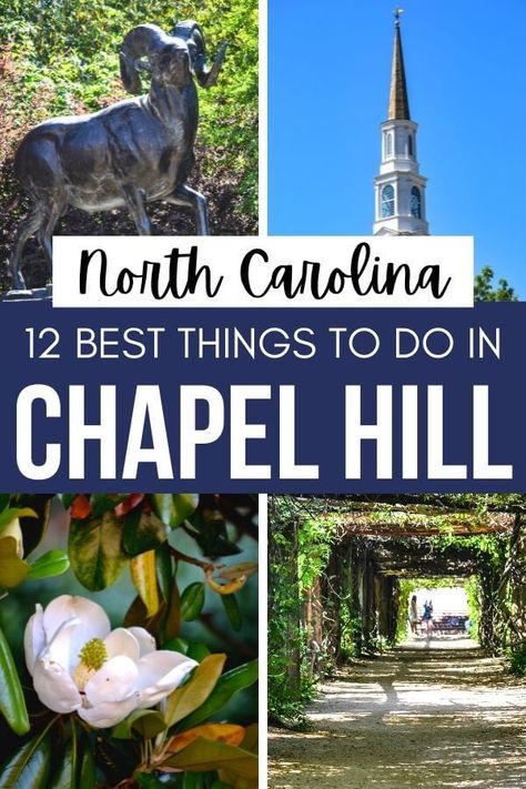 12 Best Things To Do In Chapel Hill NC + Map! - Stories by Soumya Things To Do In Chapel Hill Nc, Fun Things To Do In Charlotte Nc, Hikes Near Charlotte Nc, Unc At Chapel Hill, Beautiful University, Food From Around The World, College Visits, Nc Map, North Carolina Chapel Hill