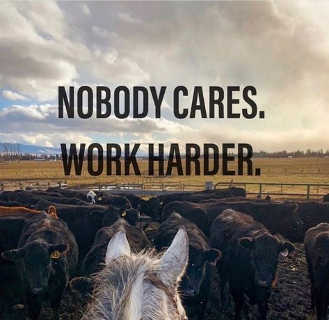 Rodeo Quotes, Western Aesthetic Wallpaper, Hardest Worker In The Room, Cow Quotes, Western Quotes, Horse Riding Quotes, Cowboy Quotes, Country Backgrounds, Cowgirl Quotes