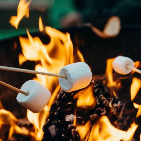 El Camino Bracelets on Instagram: "Have you ever made smores whilst camping? 👀 Toasted marshmallows and a roaring campfire 🔥 always make camping extra fun in our books! 🤩 ⁣ ⁣ And since it’s National Toasted Marshmallow Day, we’d love to hear your favourite camping stories! ⁣ ⁣ What’s your most memorable camping experience? 🏕 Where were you, and who did you camp with? We'd love to hear!⁣ ⁣ #elcaminobracelets #elcaminob #nationaltoastedmarshmallowday #travel #Travelgram #traveling #Travelphoto Family Camping Meals, Roast Marshmallows, Campfire Marshmallows, Moody Gardens, Vanilla Marshmallows, Candle Supplies, Vanilla Latte, Toasted Marshmallow, Body Powder