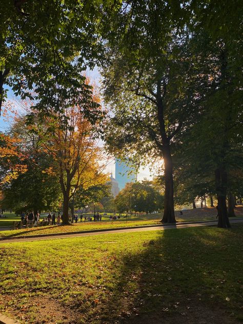 trees changing color and sunlight shining through the trees in the Boston Common Suffolk Aesthetic, Boston Common Aesthetic, Suffolk University Boston, Northeastern University Aesthetic, Boston In The Fall, Boston Fall, Boston Aesthetic, Boston Park, Dream University