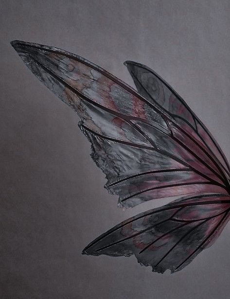 Dark Butterfly Wings, Fairy Wing Aesthetic, Bubble Palace, Fairy Wings Aesthetic, Faerie Aesthetic, Fae Aesthetic, Butterfly Aesthetic, Queen Chrysalis, Dark Wings