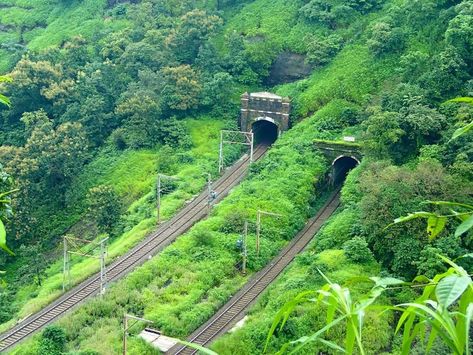 Kasara Ghat, Nasik Kasara Ghat, India, Quick Saves, Nature