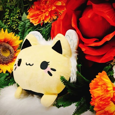 Meowchi Plush, Tasty Peach Studios, Tasty Peach, Instagram Queen, Queen Bee, Queen Bees, Photo Shoot, Pikachu, Bee