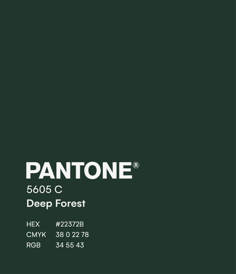 Types Of Greens Colours, Green Rgb Code, Royal Green Color Palette, Pantone Green Shades Colour Palettes, Green Pantone Colors, Pantone Color Palette Charts, Forest Green Branding, Green Pantone Palette, Forest Green Colour Palette