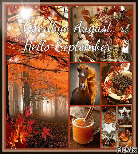 Hallo August, New Month Greetings, Hello September Images, August Hello, September Images, Neuer Monat, Autumn Images, Autumn Poems, Welcome September