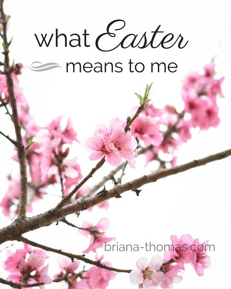 Easter isn't about bunnies and candy. It's about so much more of eternal significance! Here's a post about what Easter means to me. Easter Meaning, Briana Thomas, Easter Weekend, Trim Healthy Mama, Easter Time, Bible, Easter, Candy, Lifestyle