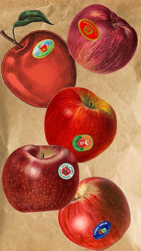 Apples stickers #vintage #apple #stickers #fruits #wallpaper Vintage Apple Poster, Fall Apple Wallpaper, Apple Fruit Wallpaper, Apple Collage, Fruits Wallpaper, Apple Sticker, Apple Aesthetic, Apple Illustration, Sticker Photo