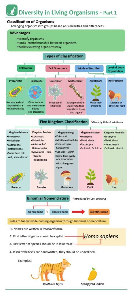 Five Kingdom Classification: Kingdoms, Features, Examples with Videos Biology Kingdoms Animal Classification, Characteristics And Classification Of Living Organisms Notes, Evolution And Classification Of Life, Classification Of Living Organisms, Class 11 Biology Notes Plant Kingdom, Classifications Of Living Things, Classification Biology Notes, Animal Kingdom Biology Notes, Classification Of Animal Kingdom