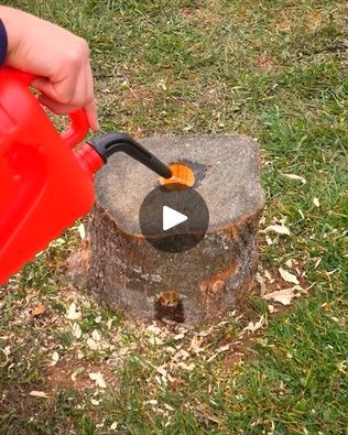 Kill Tree Stump, Removing Tree Stumps, Concrete Storage, Yard Hacks, Soil Mixture, Camp Fires, Stump Removal, Healthy Soil, Bonfire Party