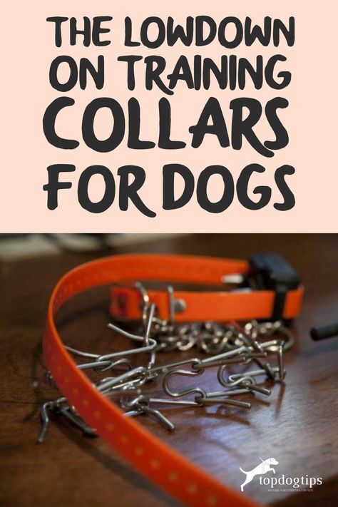 The use of electronic training collars for dogs is controversial. So what do science and studies say about the use of dog shock collars? Shock Collars For Dogs, E Collar Training, Collars For Dogs, Posture Collar, Prong Collar, Animal Learning, Dog Shock Collar, Pets Accessories, Dog Collar With Name