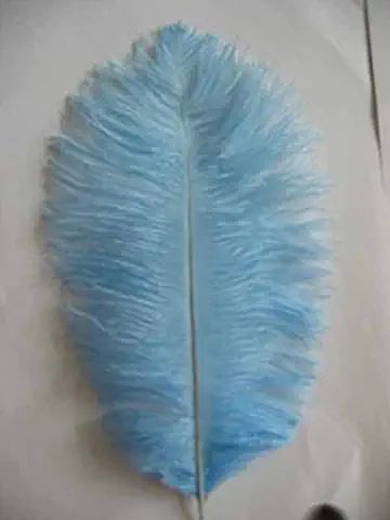 From my Sis Janet <3 Blue Party, Blue Feather, Ostrich Feathers, Amazon Art, Crafts Sewing, Sewing Stores, Wedding Decoration, Blue Light, Feathers