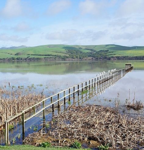 Inverness California, Point Reyes Lighthouse, Tomales Bay, Marin County California, Point Reyes National Seashore, Point Reyes, Marin County, Bay View, Peaceful Places