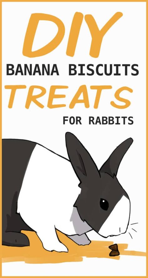 291 treats banana biscuits PINTEREST Bunny Treats Recipes, Homemade Rabbit Treats, Banana Biscuits, Rabbit Carrier, Treats For Rabbits, Bunny Food, Rabbit Treats, Bunny Lady, Bunny Treats