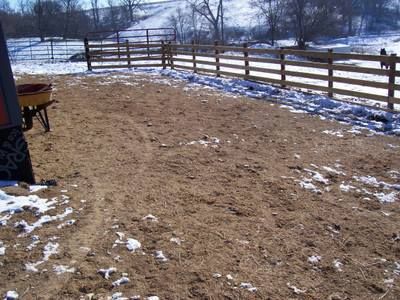 Horse Dry Lot Ideas, Horse Dry Lots, Dry Lots For Horses, Equine Veterinarian, Land Ideas, Mini Pony, Black Barn, Horse Farms, Farm Gardens