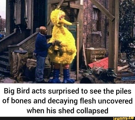 Elmo Memes, Sesame Street Memes, Dark Jokes, Dark Memes, Yellow Bird, Big Bird, Really Funny Memes, Sesame Street, Popular Memes