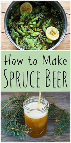 The Spruce Eats Recipes, Spruce Beer, Beer Recipes Homebrew, Spruce Tips, Beer Recipe, Wild Food Foraging, Brewing Recipes, Foraging Recipes, Homebrew Recipes