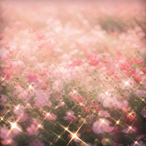 Pink Star Aesthetic, Flowercore Aesthetic, Antoinette Core, Musica Spotify, Pastel Fairy, Star Aesthetic, Rose Vine, Fairycore Aesthetic, Ethereal Aesthetic