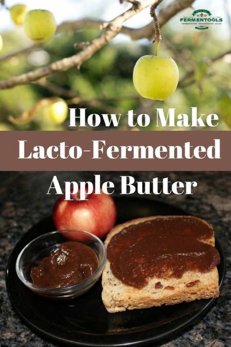 Lacto Fermented Fruit, Keifer Recipes, Fermenting Crock Recipes, Fermented Apples, Wild Fermentation, Probiotic Recipes, Probiotic Food, Fermented Fruit, Fermented Recipes