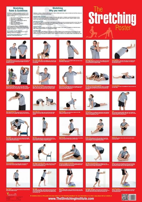 40 Charts of Post Workout Stretches to Prevent Injuries - Bored Art Full Body Stretching Routine, Post Workout Stretches, Dynamic Stretching, Full Body Stretch, Stretch Routine, Volleyball Workouts, Body Stretches, Workout Posters, Improve Flexibility