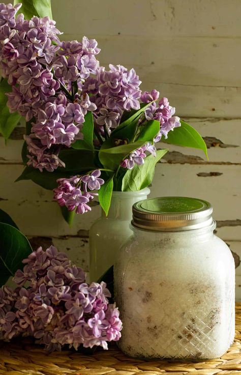 Lilac Sugar, Homemade Sweetened Condensed Milk, Brunch Desserts, Lilac Blossom, Copper Table, Best Shakes, Cooking Guide, Slow Food, Easy Weeknight Dinners