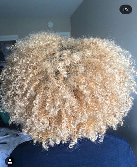 Blonde Afro, Blonde Natural Hair, Blonde Natural, Blonde Curls, Pelo Afro, Dyed Natural Hair, Natural Hair Beauty, Hair Appointment, Platinum Blonde Hair