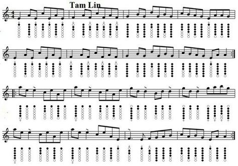 Tam Lin Tin Whistle Sheet Music, Tin Whistles, Native American Flute Music, Irish Flute, Irish Folk Songs, Bagpipe Music, Tam Lin, Fiddle Music, Native Flute