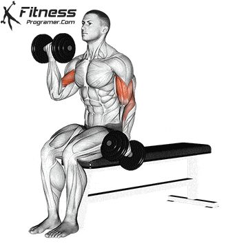 Curl Workout, Muscle Building Workout Plan, Big Biceps Workout, Best Biceps, Bicep And Tricep Workout, Gym Workout Guide, Forearm Workout, Dumbbell Curls, Monday Workout