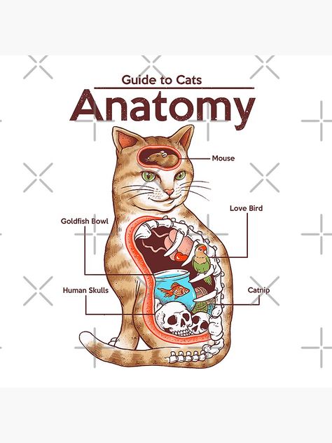 "Copy of Anatomy of a Cat" Sticker by vincenttrinidad | Redbubble Anatomy Of A Cat, Meow Art, Cat Anatomy, Cat Hacks, Cat Merchandise, Cat Art Print, Animal Facts, Cat Facts, Cat Posters