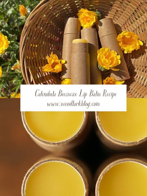 Calendula Lip Balm Recipe – Woodlark Blog – Woodlark Woodlark Blog, Beeswax Lip Balm Recipe, Calendula Infused Oil, Homemade Lip Balm Recipe, Lip Balm Recipe, Diy Lip Balm Recipes, Balm Recipe, Lip Balm Recipes, Infused Oil