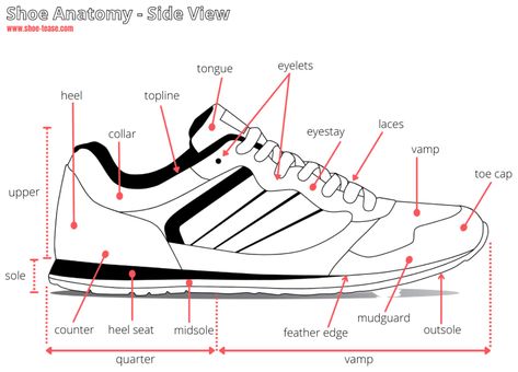 Shoe Anatomy Guide - 40+ Different Parts of a Shoe with Names & Images Shoe Store Design, Lace Apron, Sporty Street Style, Shoes Names, Shoes Quotes, Funny Cat Wallpaper, Basic Workout, Diagram Design, Shoe Sole