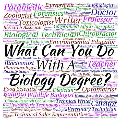 What can you do with a Biology degree? Biology Classroom Decor, Biology Degree, Radiation Therapist, School Biology, Biology Classroom, High School Biology, College Majors, Biology Lessons, High School Classroom