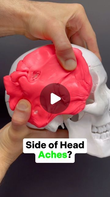 Dr. Joe Damiani - TMJ, Head & Neck Specialist on Instagram: "Do you do you experience pain on the side of the head? 
Do you have a headache and it’s above your ear or by your temple?
Maybe even above the eye or closer to the back of the head behind the ear? 

Well, if it is coming from a muscle referral. There are three among others that typically refer to this area:

💪🏼 Upper Trapezius
💪🏼 Sternocleidomastoid
💪🏼 Splenius Capitus

In this video, I show how to release each of the three. If you release one at a time, it will help you to further identify which one gives your pain… in other words do one one day, then wait a day do the next way to do it they do the next and see which is most effective. This is how I work every day with clients to figure out the root cause of their issue. Temple Headache Causes, Temple Headache, Shoulder Rehab, Headache Causes, Back Stretching, Headache Types, Head Pain, Back Of The Head, Healthy Diet Tips