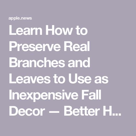 Learn How to Preserve Real Branches and Leaves to Use as Inexpensive Fall Decor — Better Homes & Gardens How To Preserve Pine Branches, Crafts Using Real Fall Leaves, Preserve Leaves With Glycerin, Preserve Fall Leaves, How To Preserve Leaves, Pressed Fall Leaves Framed, Fall Leaf Decor, Fall Arts And Crafts, Real Leaves