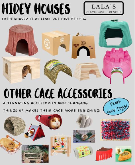 Guinea Pig Cage Ideas Aesthetic, Guinea Pig Ideas, Guinea Pig Cage Ideas Diy, Cute Guinea Pig Cage Ideas, Aesthetic Guinea Pig Cage, Guinea Pig Cage Ideas, Diy Guinea Pig Toys, Guinea Pig Supplies, Guinnea Pig