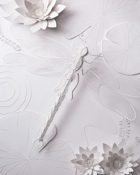 Behance :: Para ti Paper Dragonflies, Set Design Photography, Valentine Cards Handmade, Cool Paper Crafts, Beauty Products Photography, Paper Cut Art, Paper Sculpture, Sheet Of Paper, Art Project