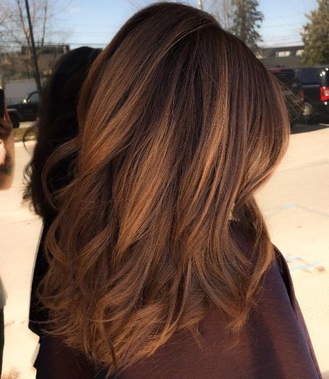 Dark Brown Hair With Golden Brown Balayage Chestnut Brown Hair Color, Brown Hair Cuts, Hair Color Brown Chestnut, Chestnut Brown Hair, Brown Hair Color Ideas, Golden Brown Hair, Chestnut Hair, Chestnut Hair Color, Brown Ombre Hair