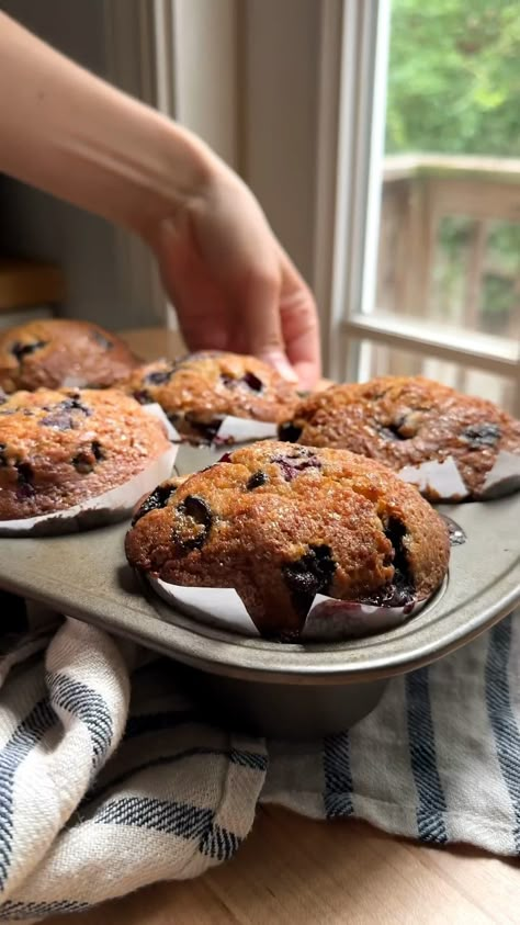 These blueberry muffins are quite possibly the easiest and the best. Light, moist and fluffy, just trust me. They are game changers and perfect for blueberry season! Blueberry Muffins Recipe Video, Oats Blueberry Muffins, Baking Recipes With Blueberries, Healthy Fruit Muffin Recipes, Kodiak Cake Blueberry Muffins, Blueberry Muffins With Dried Blueberries, Single Serve Blueberry Crisp, Healthier Blueberry Muffins, How To Make Blueberry Muffins