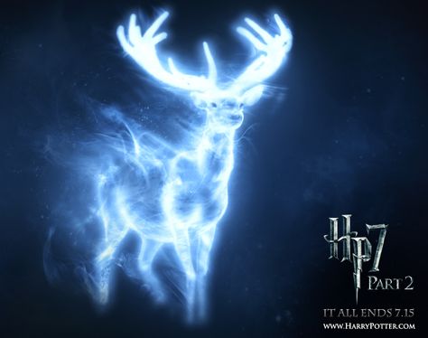 What’s Your Patronus? I got horse-loyal, smart, and willing to take risks for my family and friends. That's so me! Patronus Harry Potter, Harry Potter Quizzes, Behind Blue Eyes, Images Harry Potter, Lily Evans, Ginny Weasley, Harry Potter Love, Harry Potter Characters, Harry Potter World