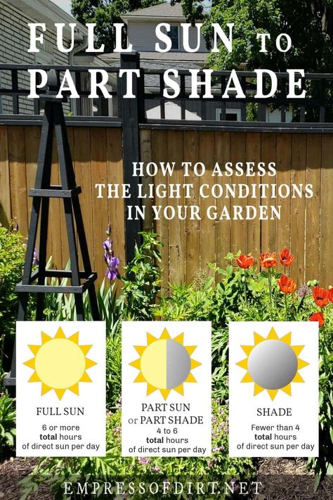 Full Sun To Shade: How To Assess Light Conditions In Your Garden Full Sun Vegetables, Landscaping Bushes, Edible Stem, East Facing Garden, Thriving Home, Herbs To Grow, Flower Bed Designs, Plant Zones, Full Sun Plants