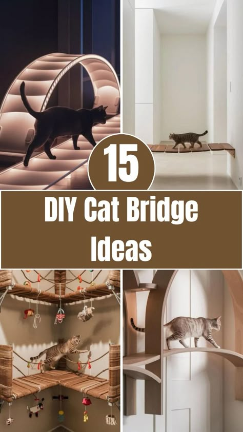 Give your cat the ultimate playground with these 15 DIY cat bridges! These creative and easy-to-build designs will keep your kitty entertained and provide a stylish addition to your home. Perfect for cat lovers looking to spoil their furry friends, these projects are both functional and fun. Click to see how you can make your own cat bridge today! Diy Cat Shelves, Cat Bridge, Cat Diy Crafts, Cat Room Ideas, High Shelf, Niche Chat, Cat Patio, Cat Wall Shelves, Diy Cat Tree