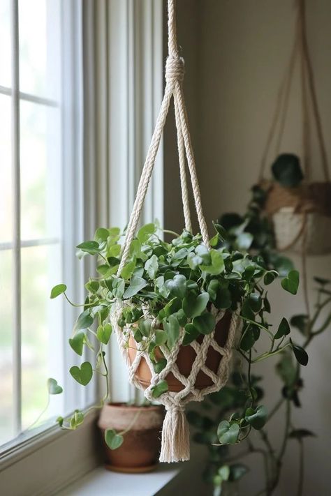 "Transform your space with the beauty of a DIY Macramé Plant Hanger! 🌿🧶 A perfect project for plant enthusiasts looking to add greenery in a stylish way. 🌟✨ #PlantDecor #MacrameCrafting #BohoLiving" Plant Macrame Hanger, Hanging Plant Holder Diy, Plant Holder Diy, Crochet Plant Hanger, Hanging Plant Holder, Diy Macrame Plant Hanger, Macrame Hanger, Hanging Macrame, Crochet Plant