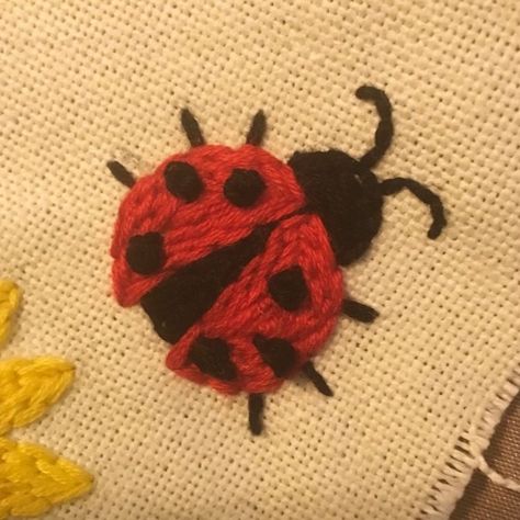 Skz Chan, Writing Songs, Clothes Embroidery Diy, A Ladybug, Music Playing, Cute Embroidery, Hand Embroidery Art, Embroidery Inspiration, Cooking Dinner