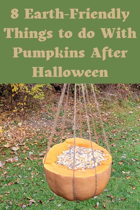 Pumpkin Bird Feeder, Things To Do With Pumpkins, Heirloom Pumpkins, Pumpkin Guts, Theme Preschool, Growing Pumpkins, Fall Snacks, Pretty Pumpkins, Gardening Hacks