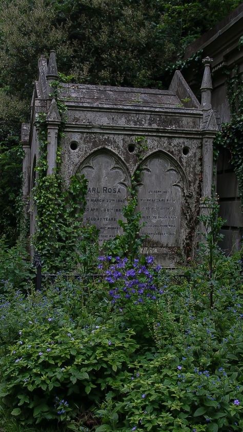 City Of Lost Souls Aesthetic, The Lost Apothecary Book Aesthetic, The Lost Apothecary Aesthetic, Nettle And Bone Aesthetic, Nettle And Bone, Lost Apothecary, Apothecary Aesthetic, Journal 2025, Cemetery Art