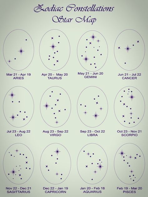 Constellation Virgo Tattoo, Constellation Capricorn Tattoo, Libra Zodiac Star Constellation, Pisces Constellation Tattoo Designs, Leo Zodiac Tattoos Constellation, Libra Constellation Ear Piercing, Taurus And Gemini Tattoo Combined, February Zodiac Sign Tattoo, February Constellation Tattoo