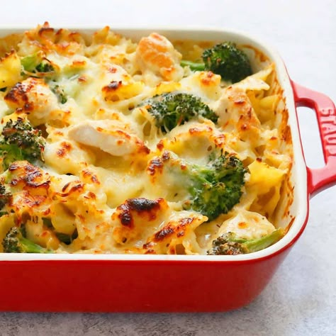 Chicken Broccoli Pasta Bake is made from scratch casserole with chicken, pasta & broccoli in a Creamy Alfredo Sauce. Chicken Broccoli Pasta Casserole, Chicken And Broccoli Pasta Bake, Chicken Broccoli Pasta Bake, Chicken And Broccoli Pasta, Chicken Meatballs Healthy, Broccoli Pasta Bake, Chicken Broccoli Pasta, Pasta Bakes, Chicken Shawarma Recipe