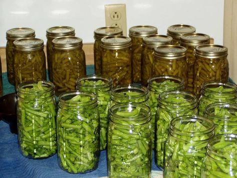 How To Can Green Beans With A Water Bath - Homestead & Prepper Canning Green Beans, Canning Process, Low Acid Recipes, Home Canning Recipes, Canning Vegetables, Can Green Beans, Canning Supplies, Water Bath Canning, Pressure Canner