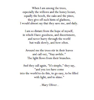 When I Am Among The Trees, When I Am Among The Trees Mary Oliver, Poem Mary Oliver, Mary Oliver Poems, Poetry Famous, Honey Locust, Mary Oliver, Wednesday Wisdom, Spiritual Inspiration