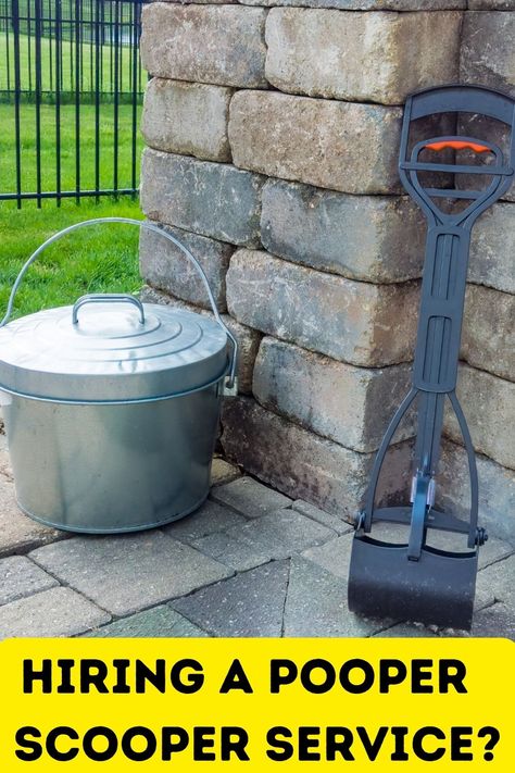 Pooper Scooper Service: What You Need to Know Before Hiring One Pooper Scooper Ideas, Pet Waste Station, Dog Pooper Scooper, Pooper Scooper, How Do You Clean, Dogs Pooping, Dog Runs, Dog Stuff, Training Your Dog